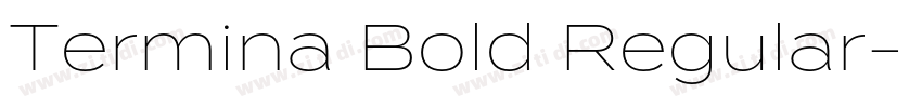 Termina Bold Regular字体转换